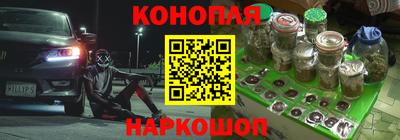 прущие грибы Новодвинск