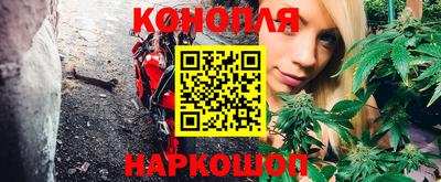 тгк Новозыбков