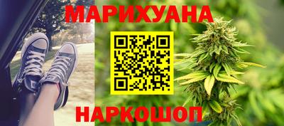 тгк Новозыбков