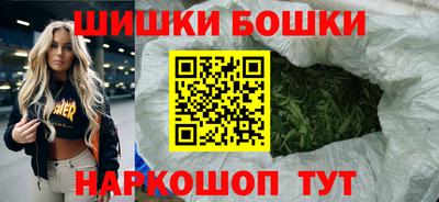 тгк Новозыбков