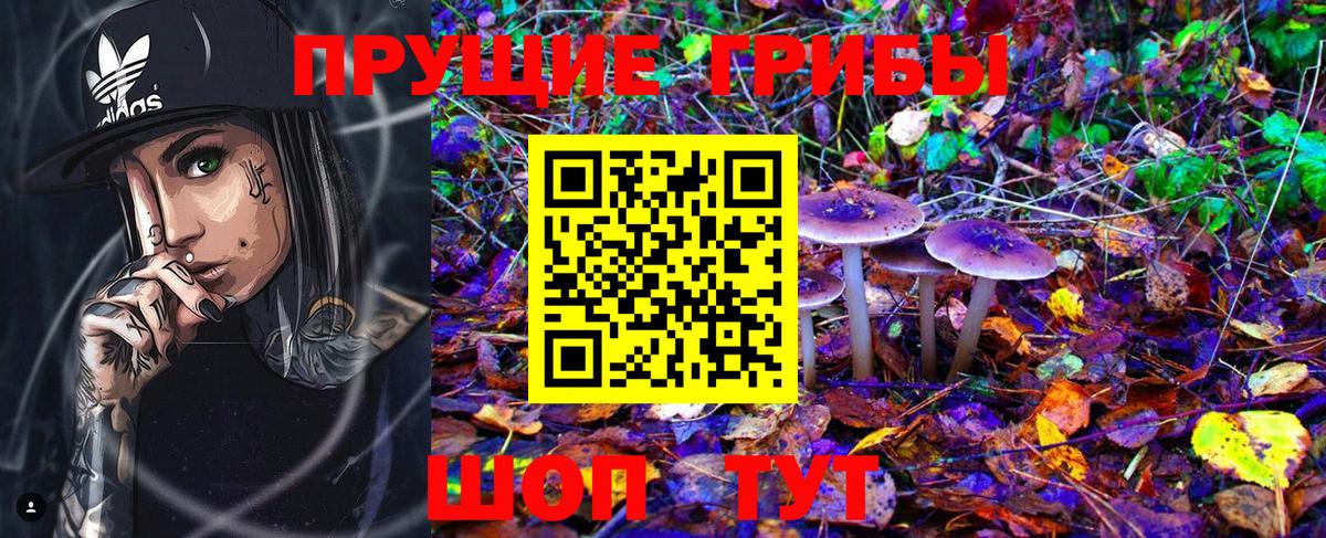 Псилоцибиновые грибы Psilocybine cubensis Урус-Мартан